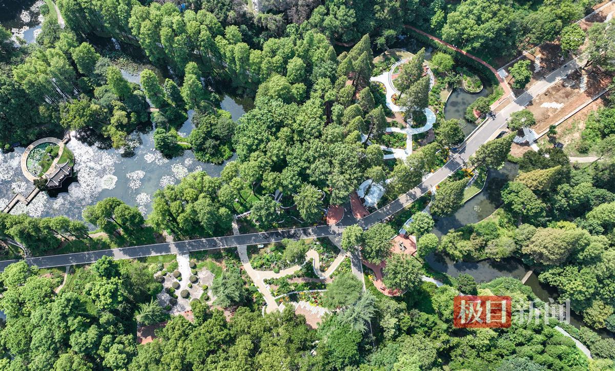 利记官方是什么
